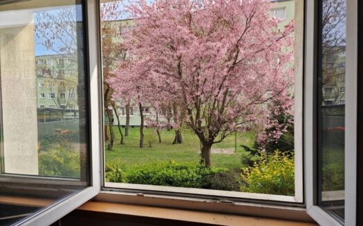 3 pokoje – dużo zieleni – balkon – przestronne